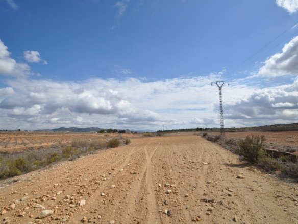 Land in Pinoso - Caza De Casa