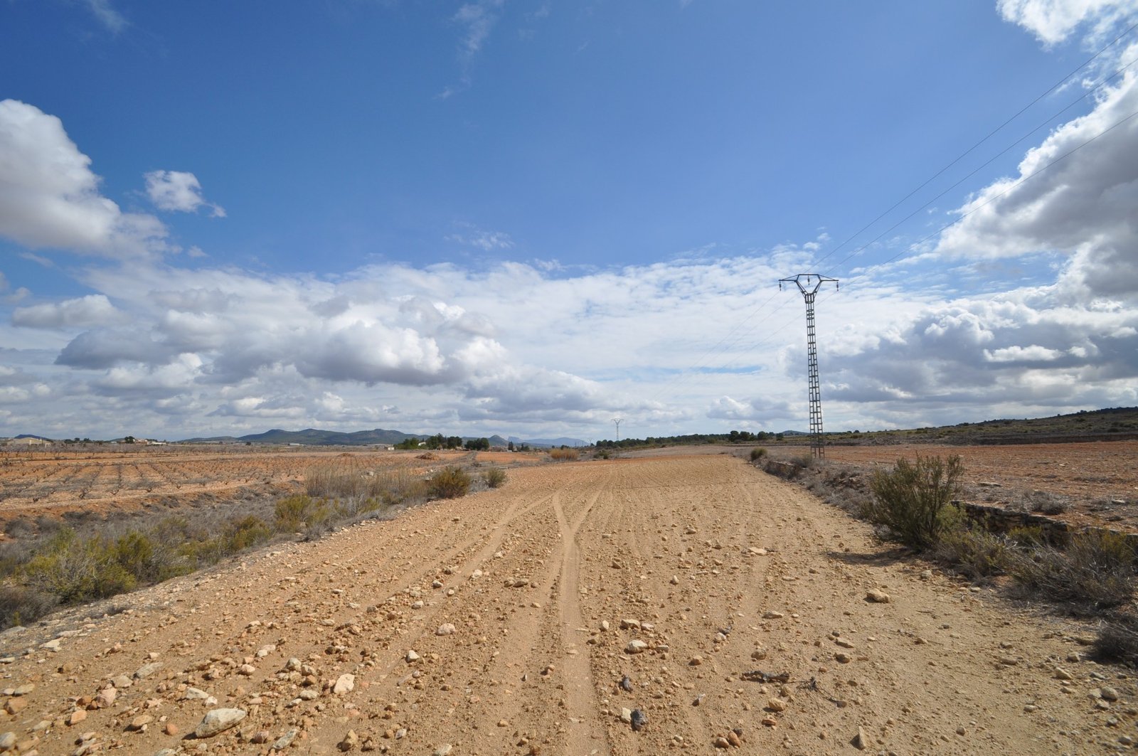 4d9885f80e1189bf Land in Pinoso - Caza De Casa