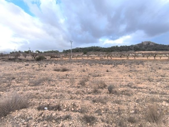 3,132 m² Land in La Solana - Caza De Casa