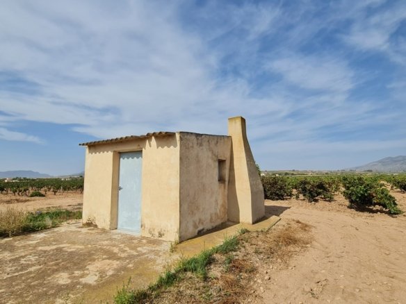 Land in Pinoso - Caza De Casa