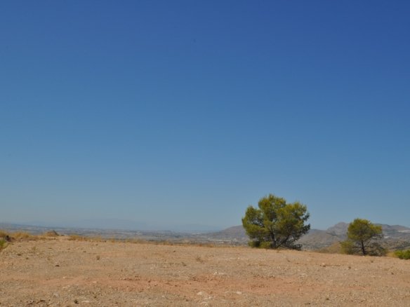 21,500 m² Land in Macisvenda - Caza De Casa