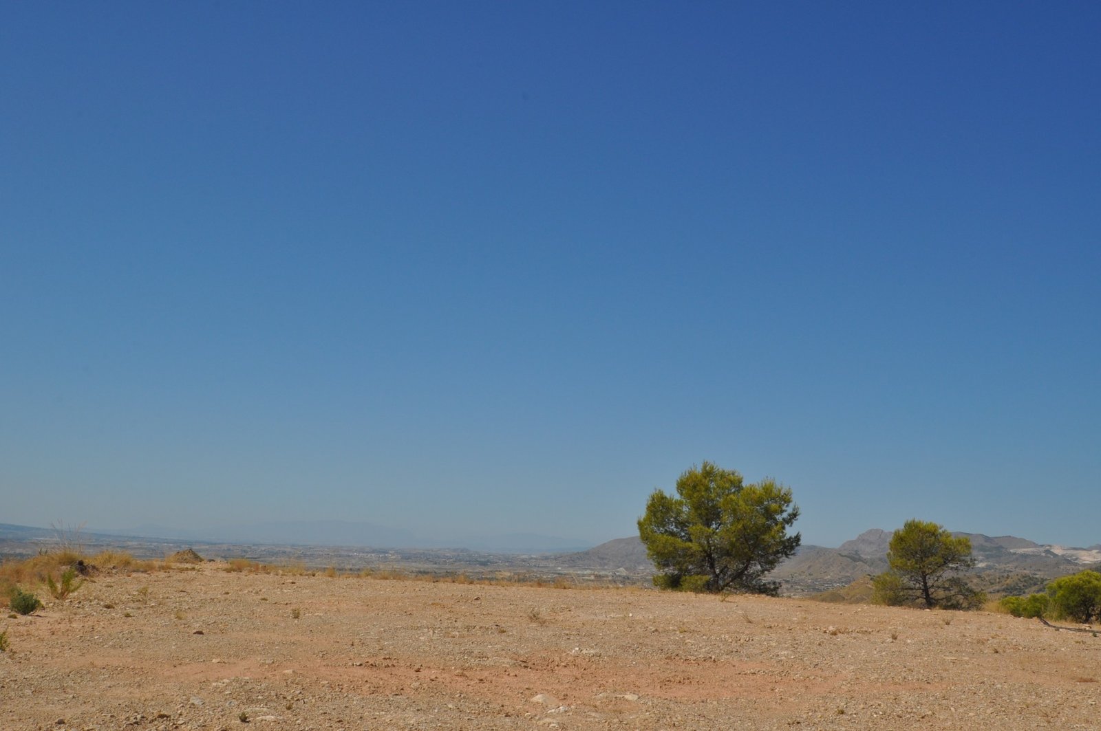 21,500 m² Land in Macisvenda - Caza De Casa
