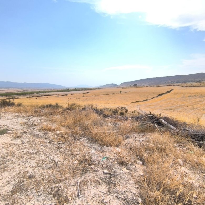 6 Bedroom 2 Bathroom Country House in Jumilla - Caza De Casa