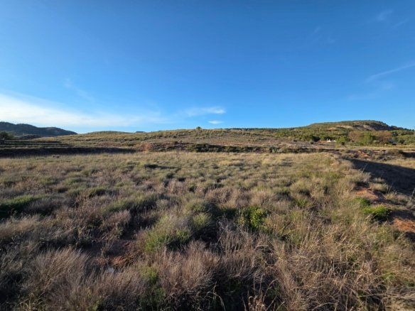 40,000 m² Land in Yecla - Caza De Casa