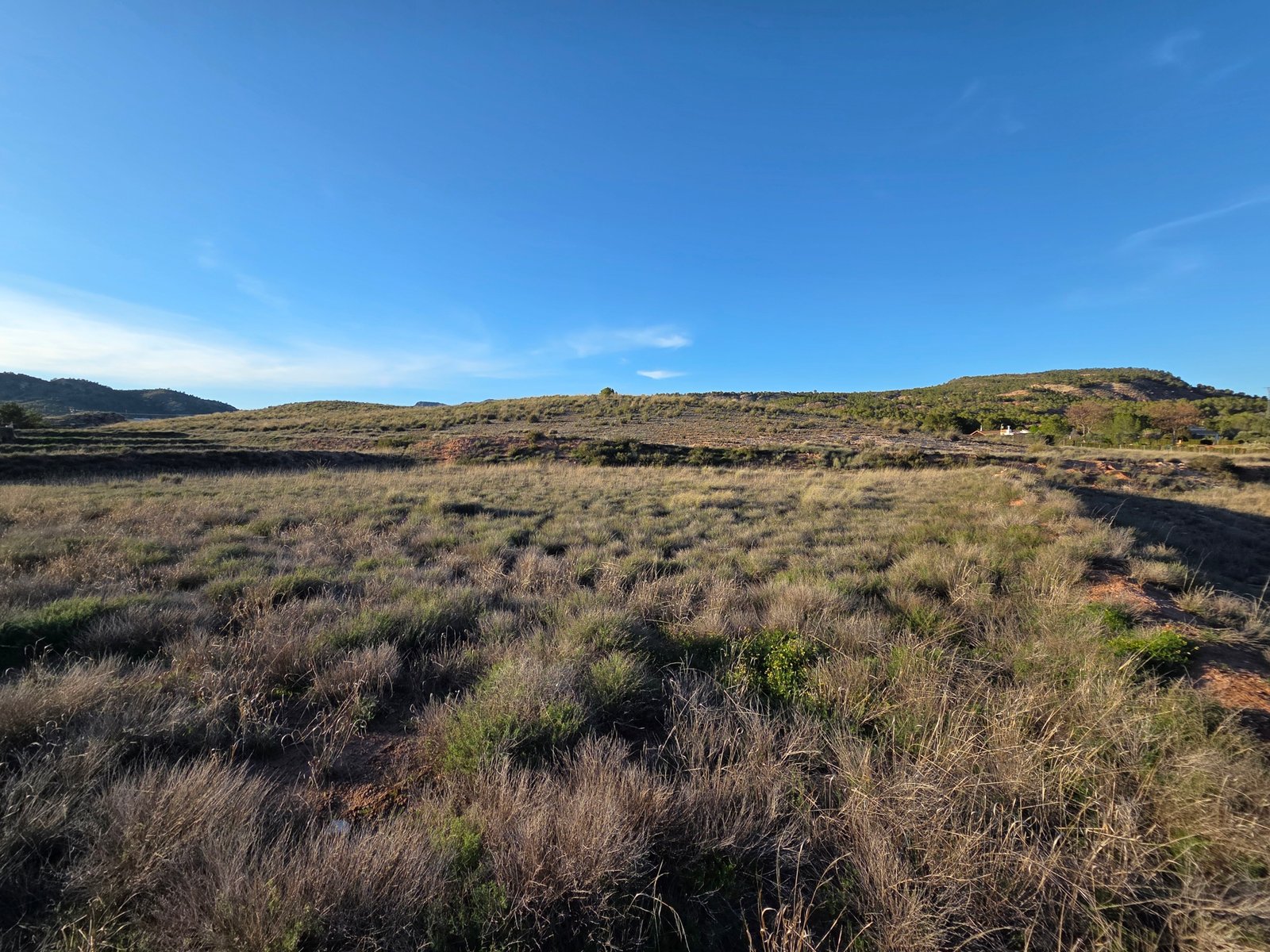 40,000 m² Land in Yecla - Caza De Casa