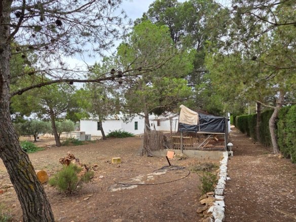 6 Bedroom 2 Bathroom Country House in Pinoso - Caza De Casa