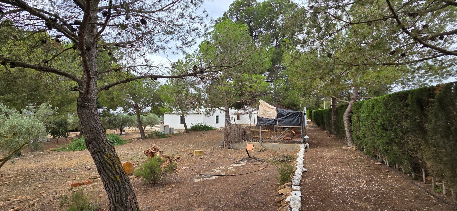 6 Bedroom 2 Bathroom Country House in Pinoso - Caza De Casa