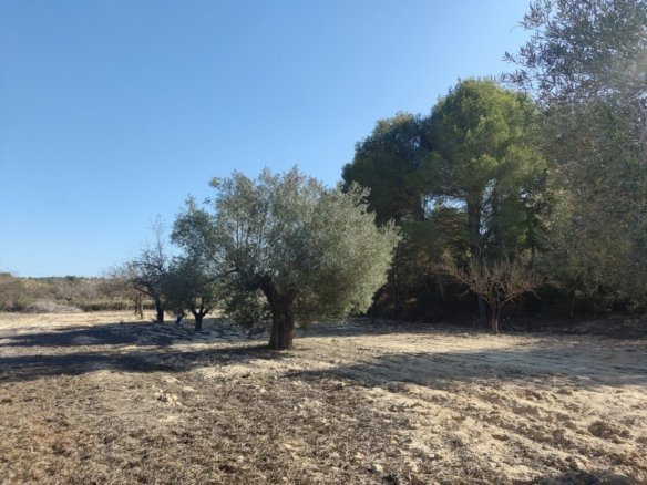 Finca in Torremendo - Caza De Casa