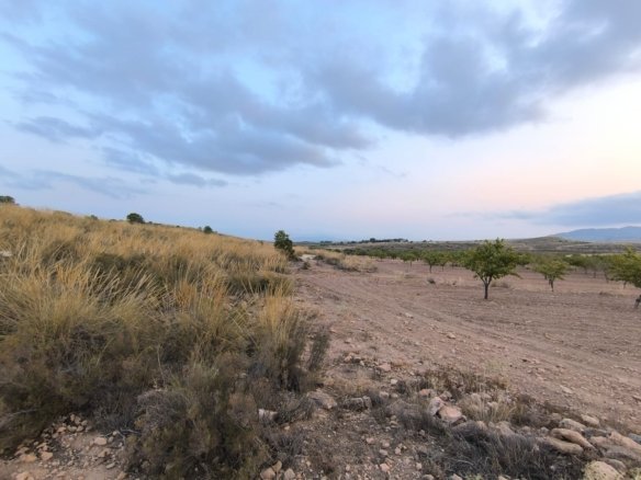 10,354 m² Land in Pinoso - Caza De Casa