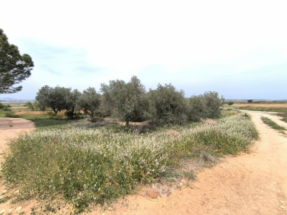 3 Bedroom 1 Bathroom Country House in Yecla - Caza De Casa