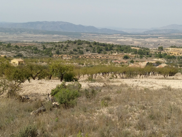 Land in Abanilla - Caza De Casa