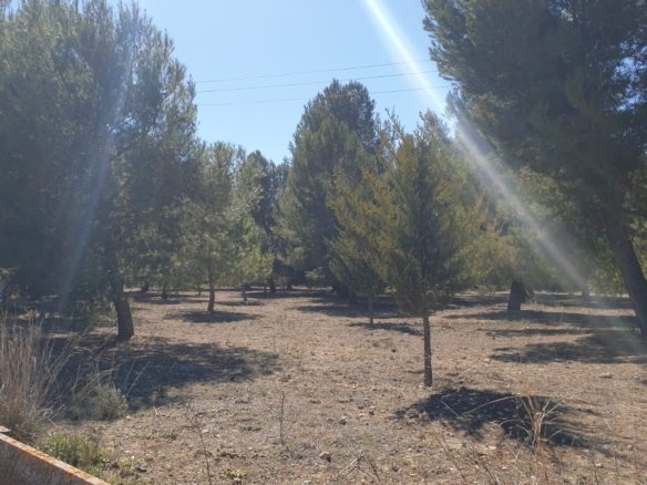 Land in Beneixama - Caza De Casa