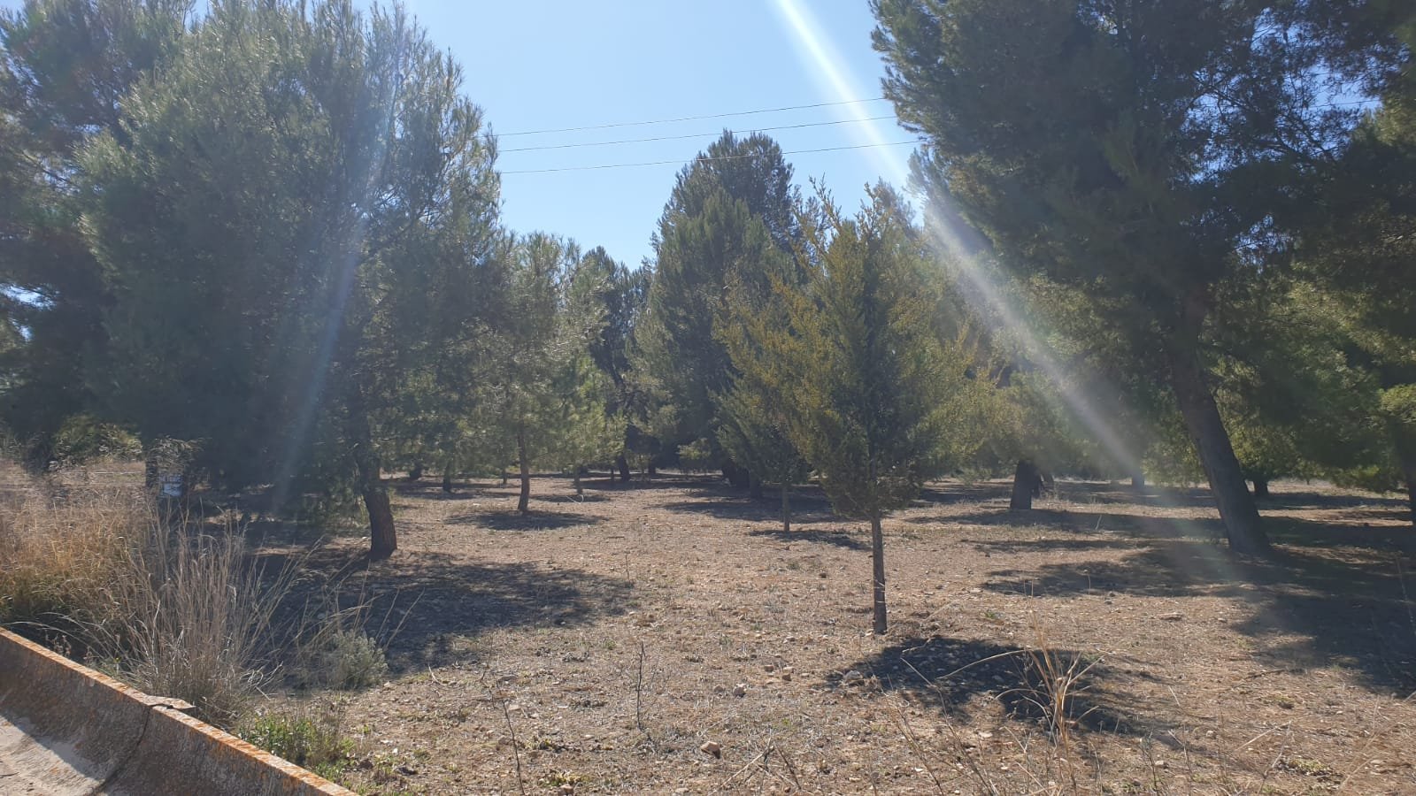 5288237f0b890bd7 Land in Beneixama - Caza De Casa