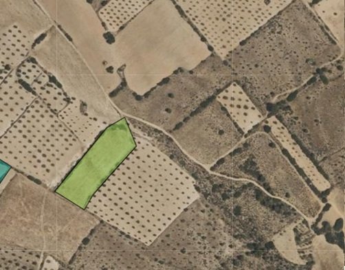 5,499 m² Land in Yecla - Caza De Casa