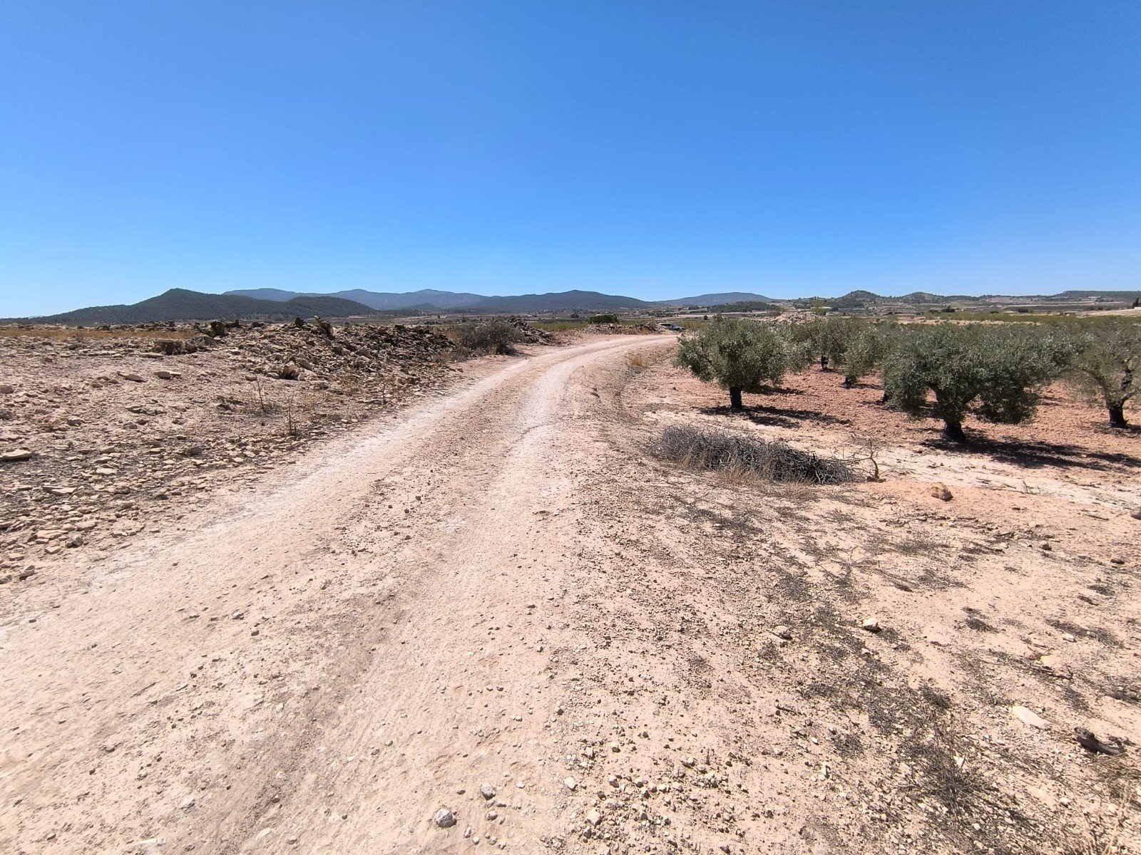 17,098 m² Land in Monóvar/Monóver - Caza De Casa