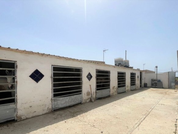 Commercial in Balsicas - Caza De Casa