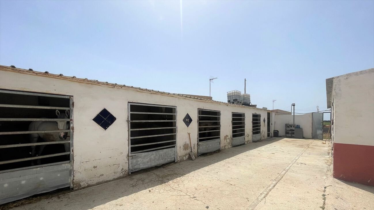 Commercial in Balsicas - Caza De Casa