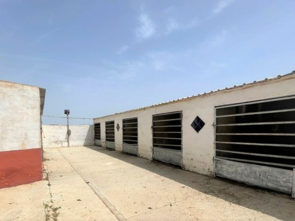 Commercial in Balsicas - Caza De Casa