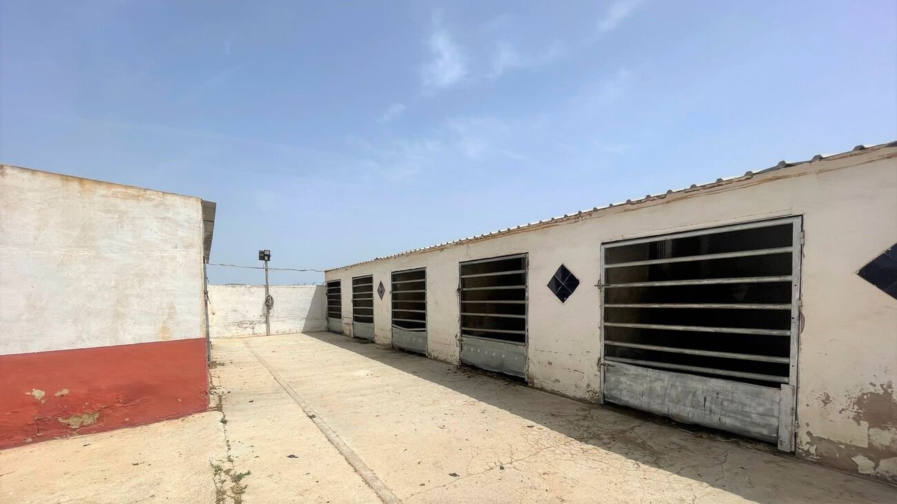 Commercial in Balsicas - Caza De Casa