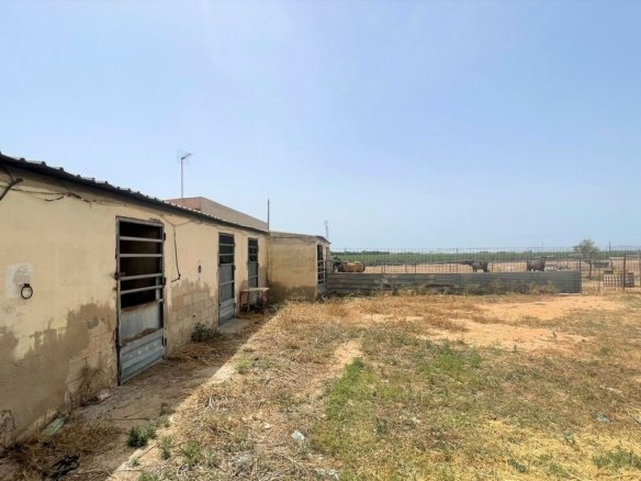 Commercial in Balsicas - Caza De Casa