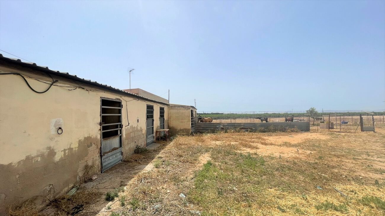 Commercial in Balsicas - Caza De Casa