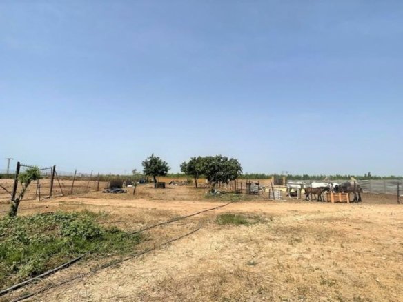 Commercial in Balsicas - Caza De Casa