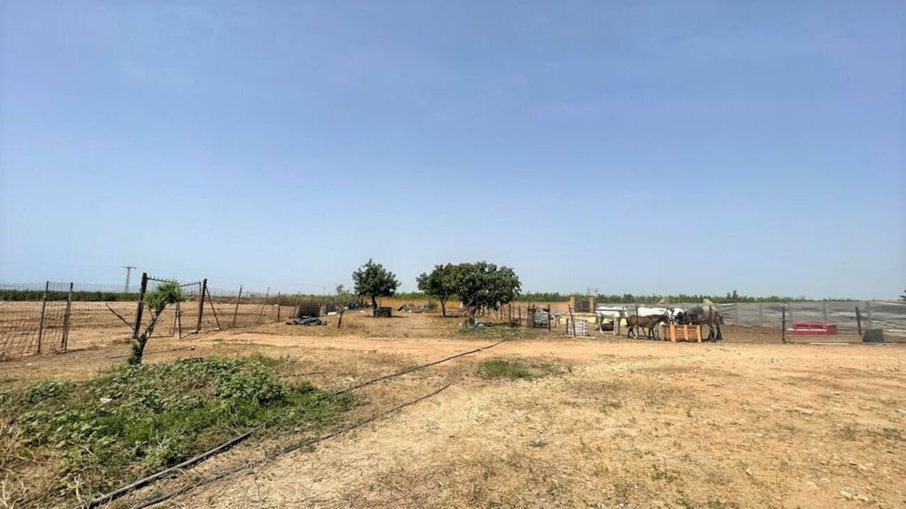 Commercial in Balsicas - Caza De Casa