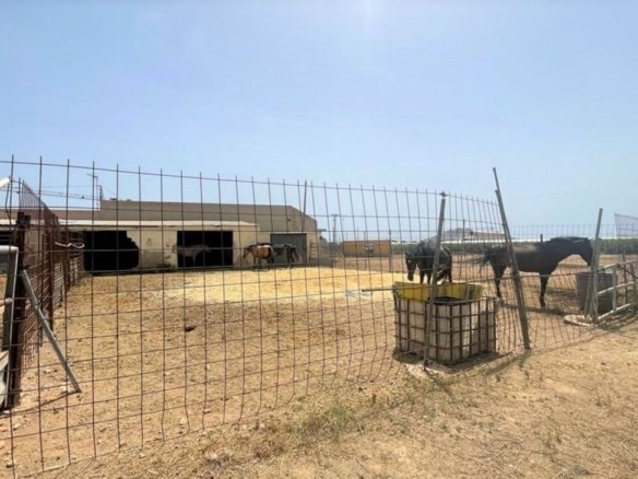 Commercial in Balsicas - Caza De Casa