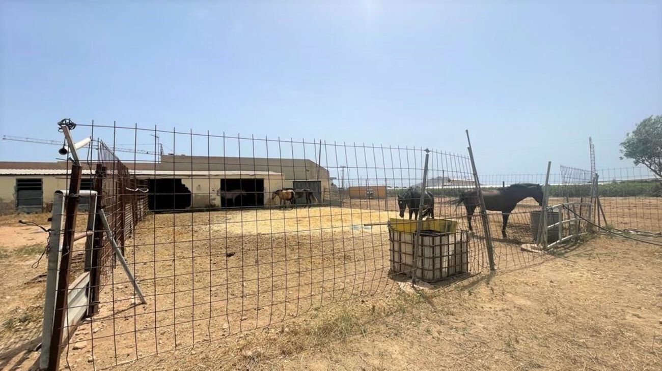 Commercial in Balsicas - Caza De Casa