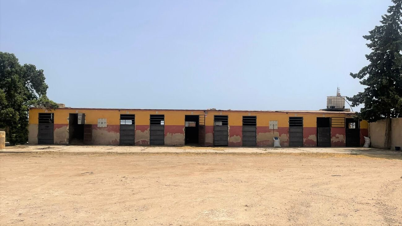 Commercial in Balsicas - Caza De Casa