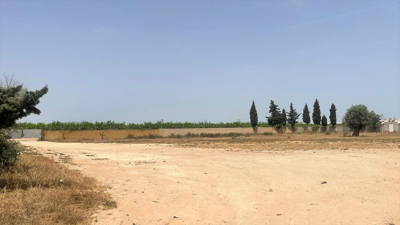 Commercial in Balsicas - Caza De Casa
