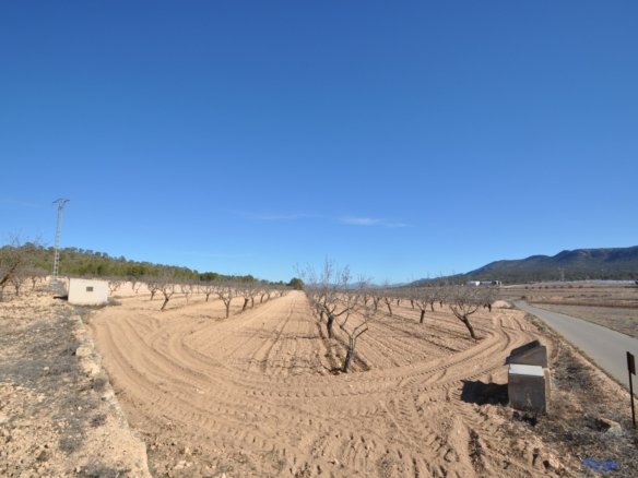 12,836 m² Land in Monóvar/Monóver - Caza De Casa