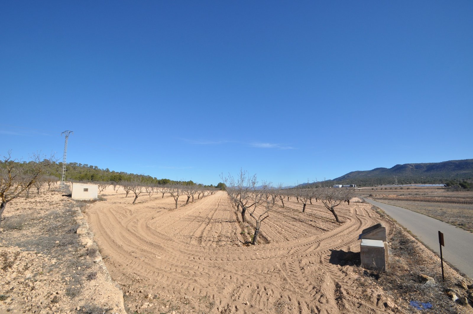 12,836 m² Land in Monóvar/Monóver - Caza De Casa