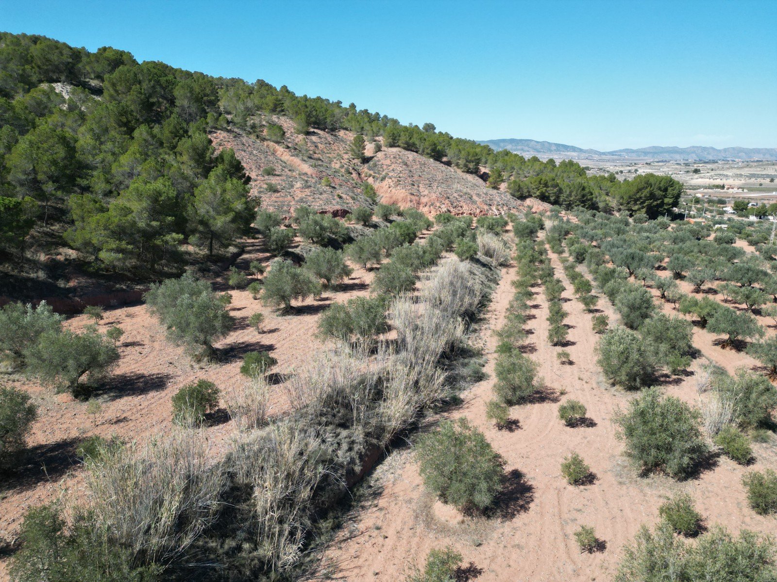 default 9,391 m² Land in Pinoso - Caza De Casa