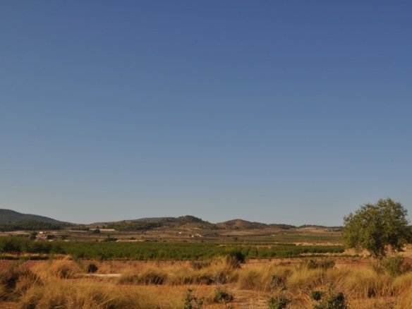 8 Bedroom 4 Bathroom Country House in Pinoso - Caza De Casa