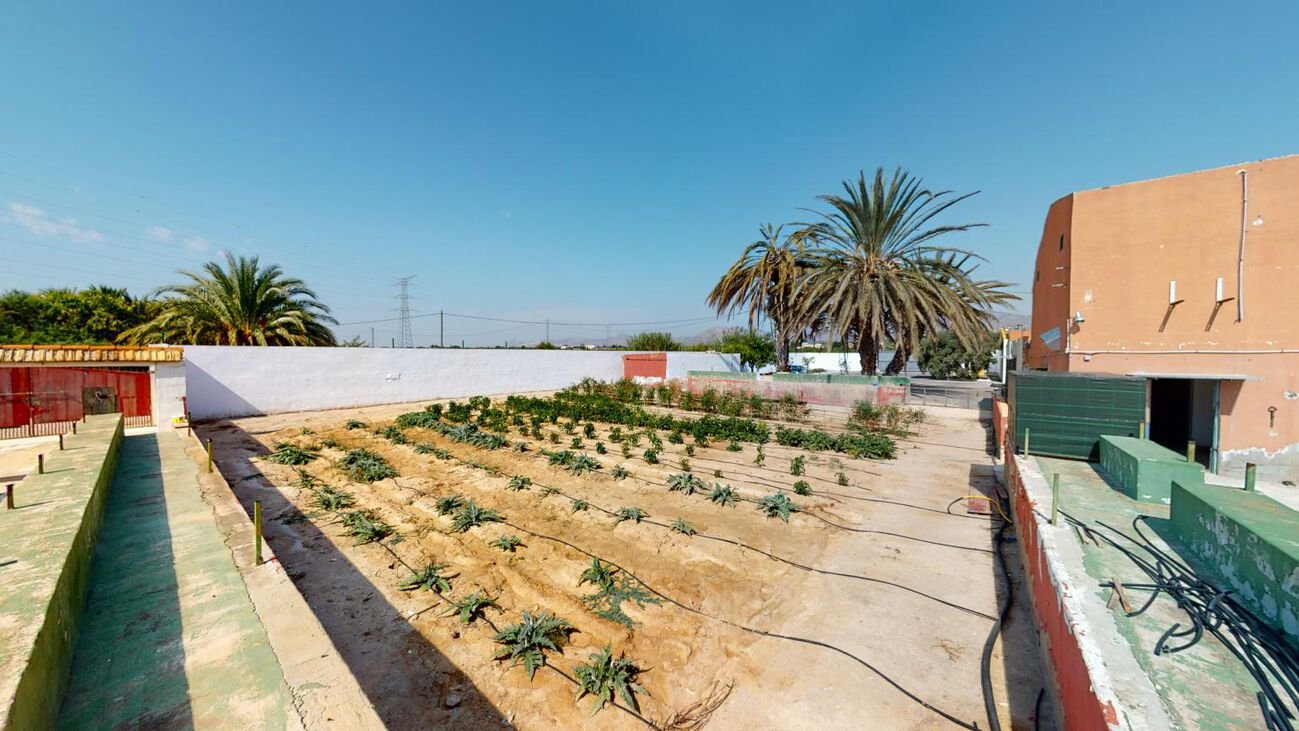 5 Bed 1 Bath Town House in Albatera - Caza De Casa