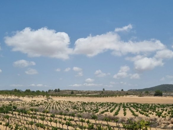 4,211 m² Land in Pinoso - Caza De Casa