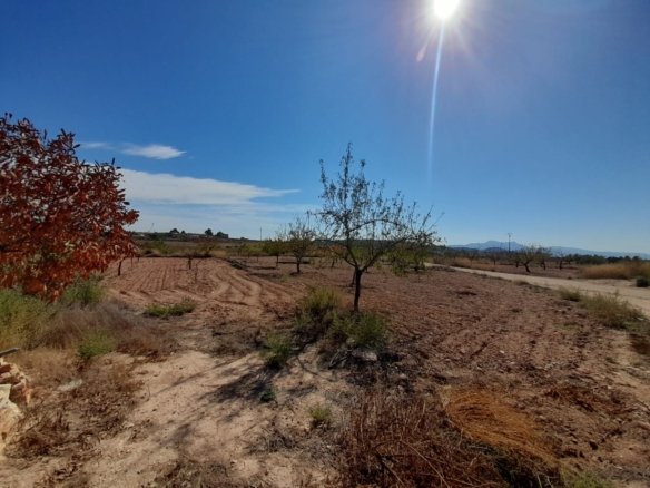 4 Bedroom 1 Bathroom Country House in Pinoso - Caza De Casa