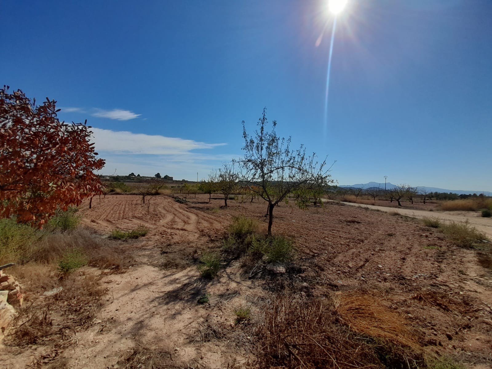 4 Bedroom 1 Bathroom Country House in Pinoso - Caza De Casa