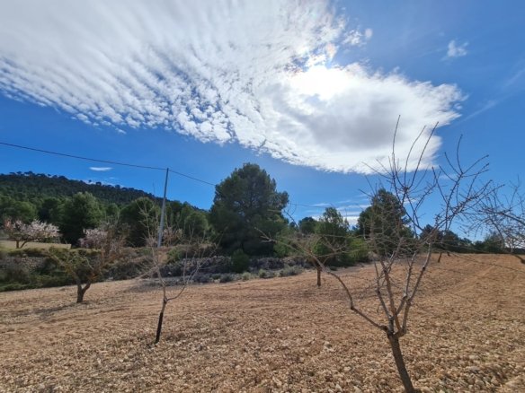 Land in Pinoso - Caza De Casa