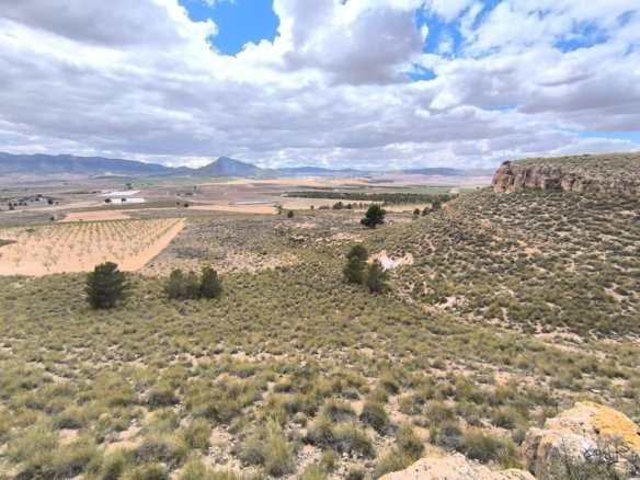 Land in Yecla - Caza De Casa