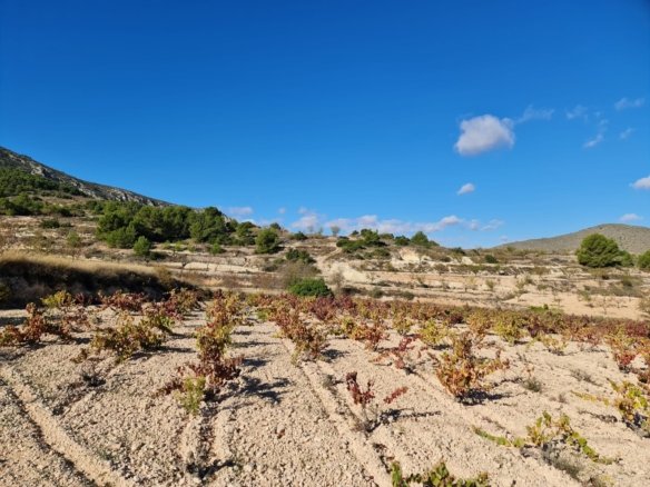 Land in La Romana - Caza De Casa