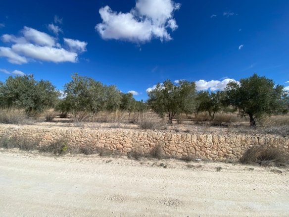 20,357 m² Land in Pinoso - Caza De Casa