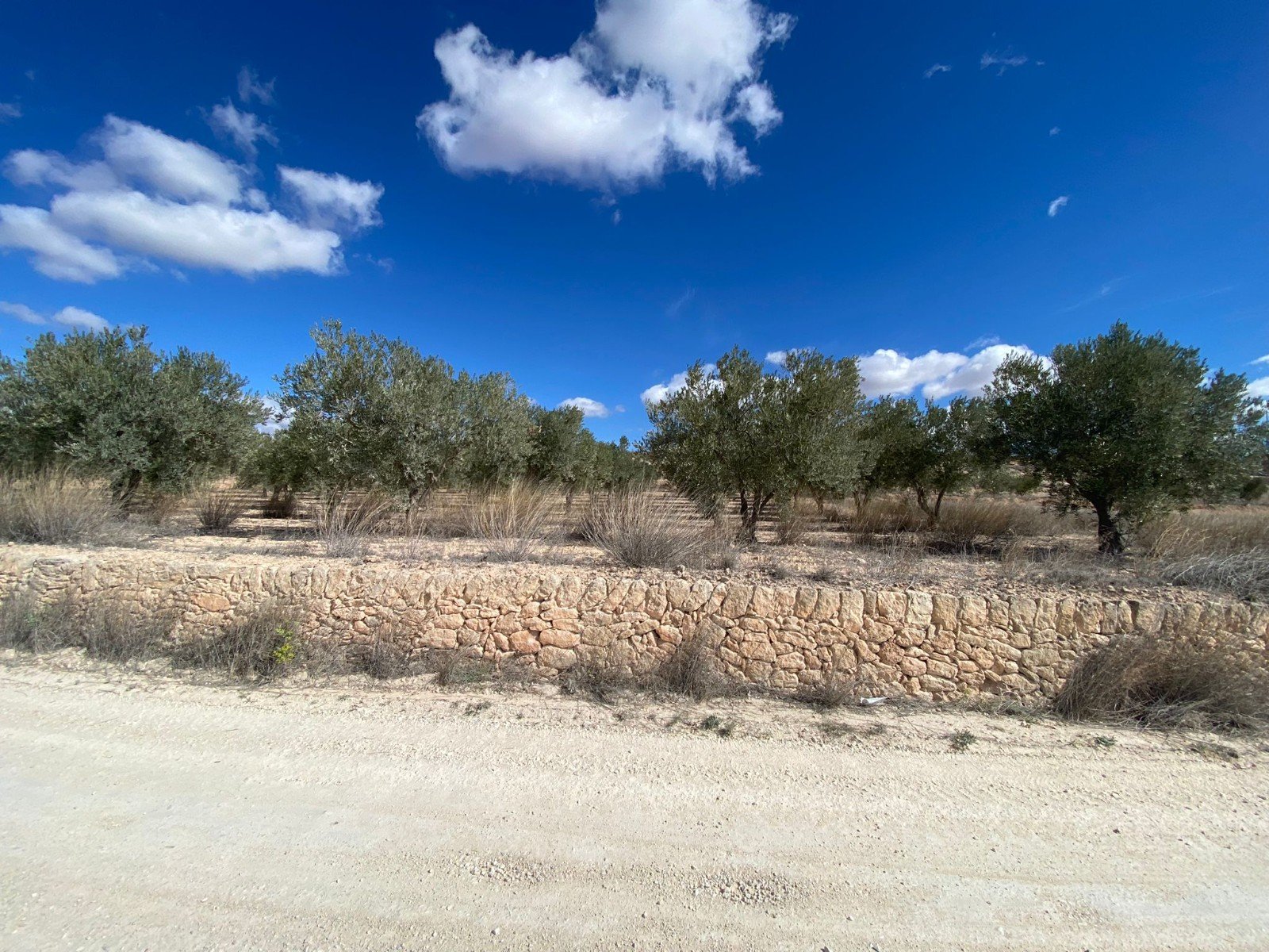 20,357 m² Land in Pinoso - Caza De Casa