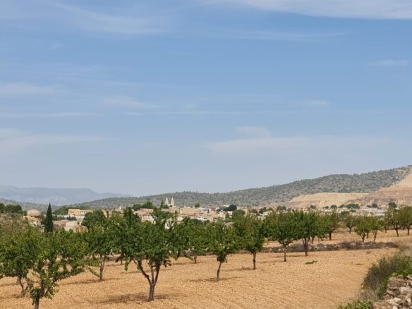 Land in Algueña - Caza De Casa