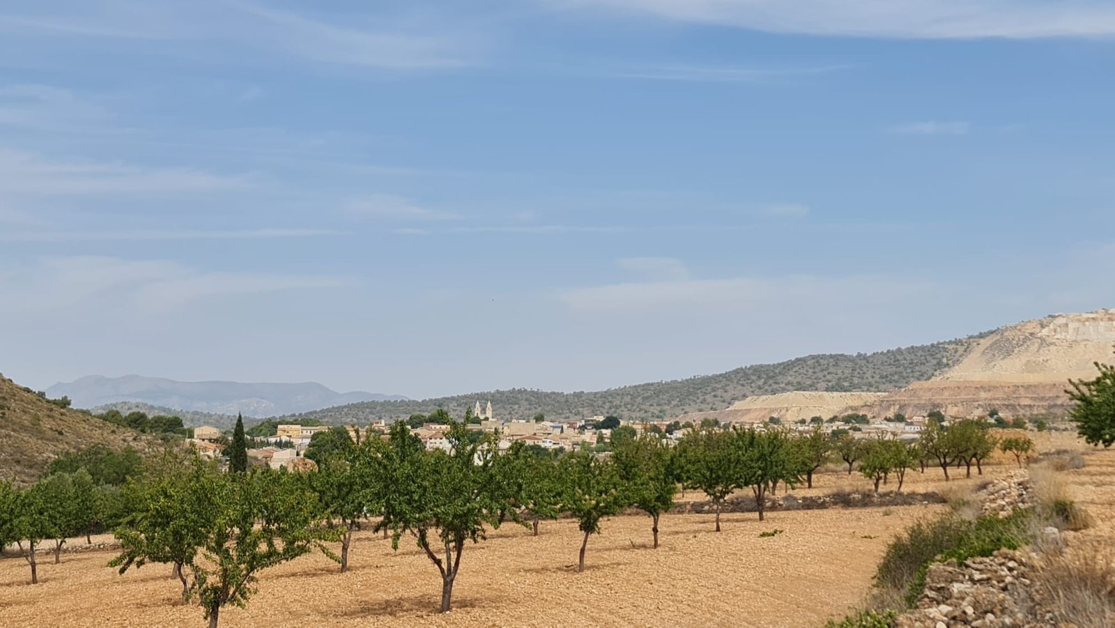 Land in Algueña - Caza De Casa