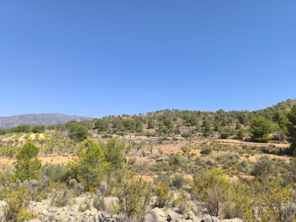 2,023 m² Land in Monóvar/Monóver - Caza De Casa