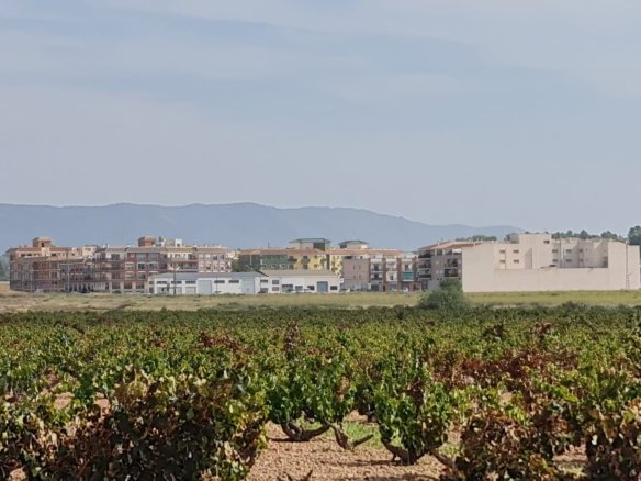 Land in Pinoso - Caza De Casa