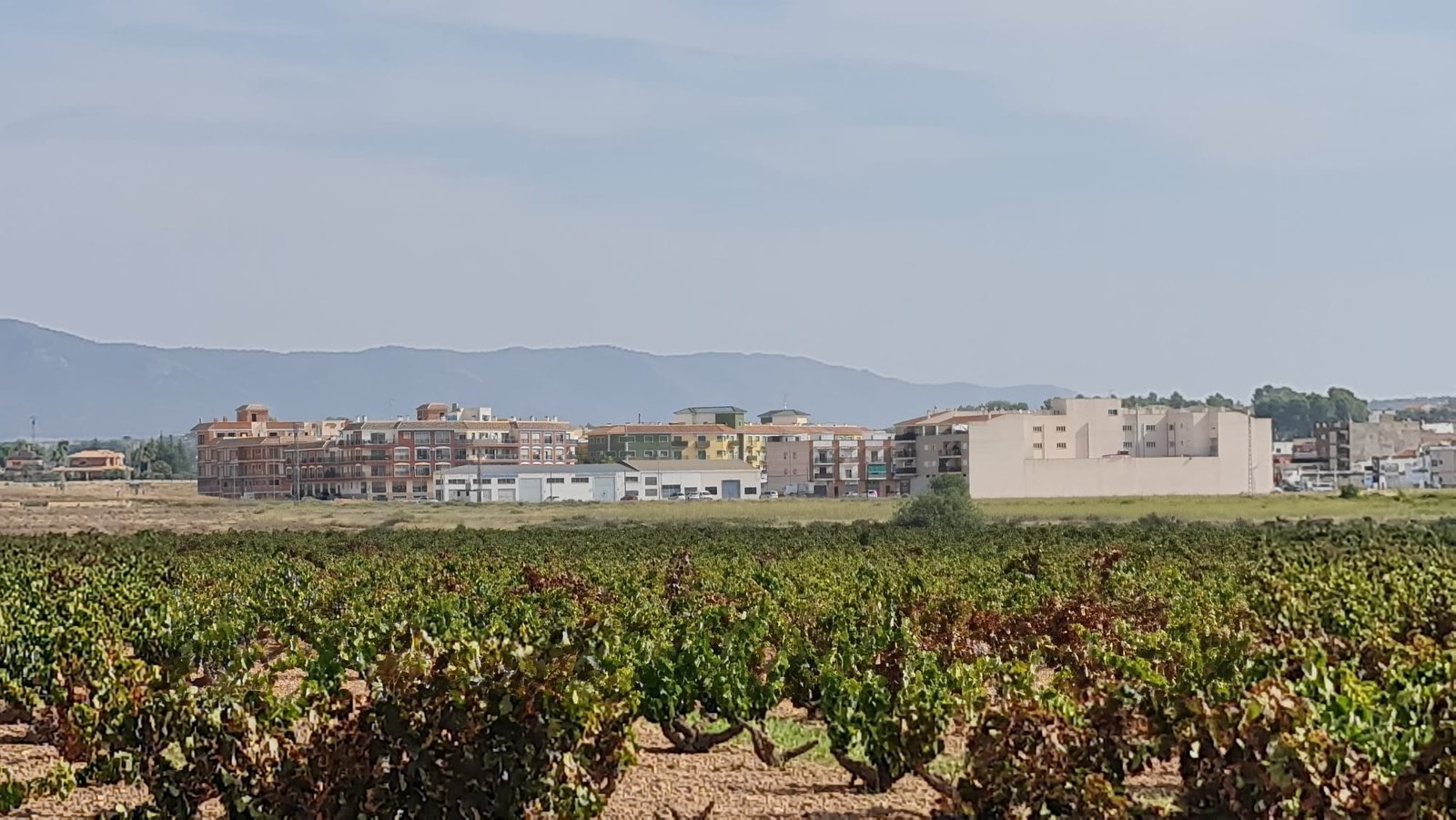 Land in Pinoso - Caza De Casa