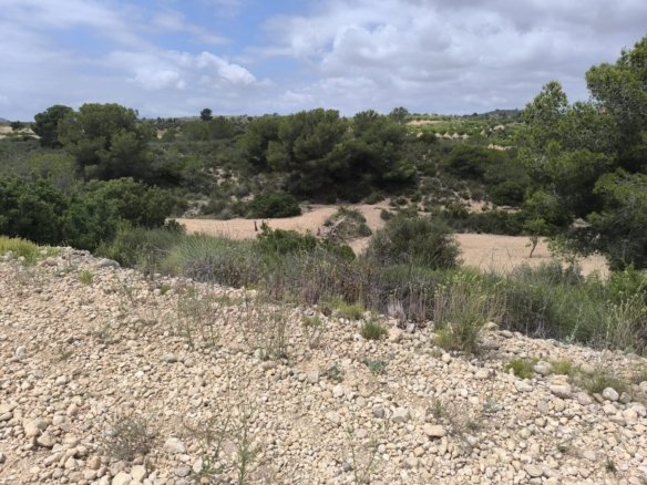 29,575 m² Land in Pinoso - Caza De Casa